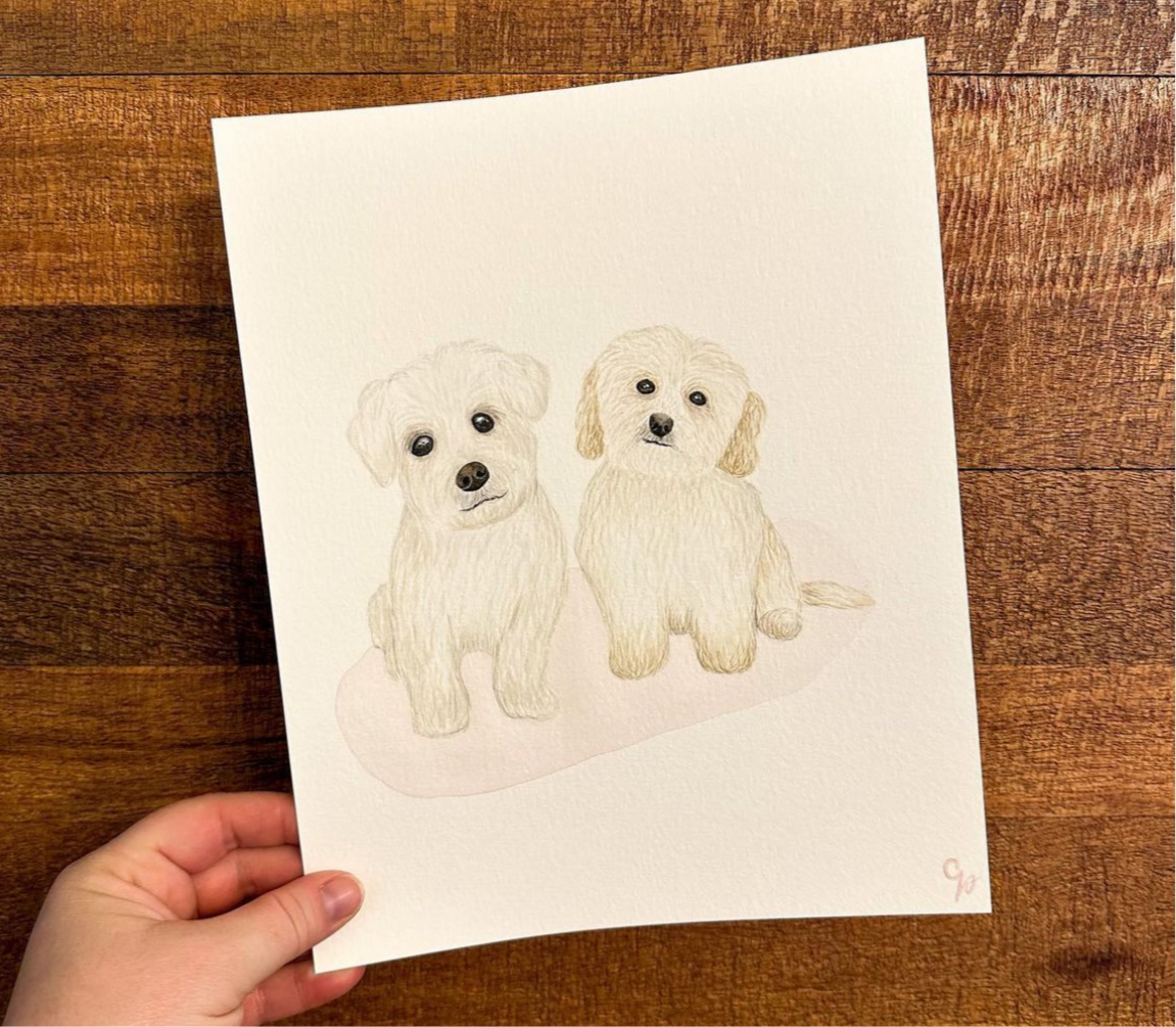 Extra Pet - For Pet Portraits