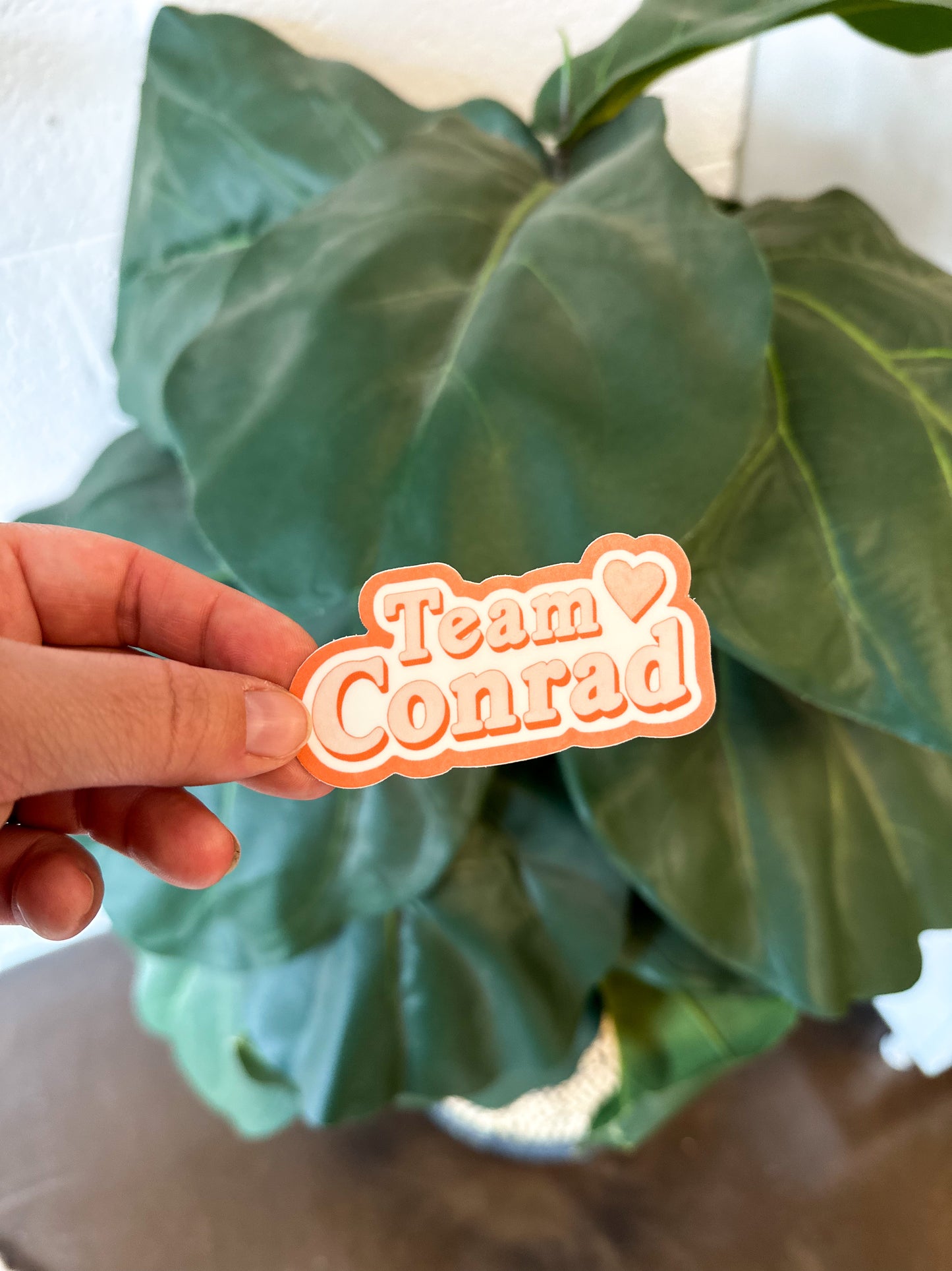 Team Conrad