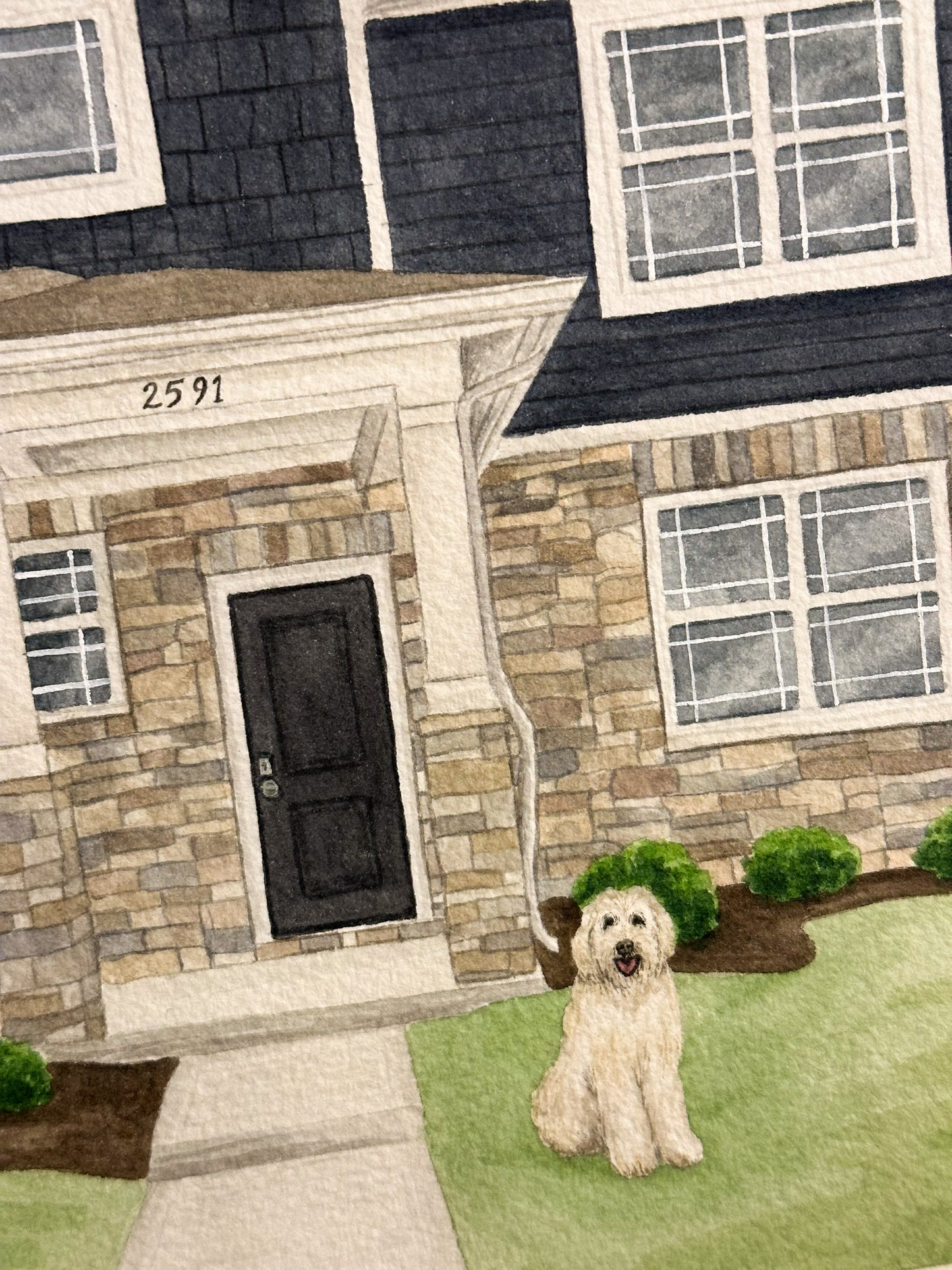 Pet Add On - For House Portraits