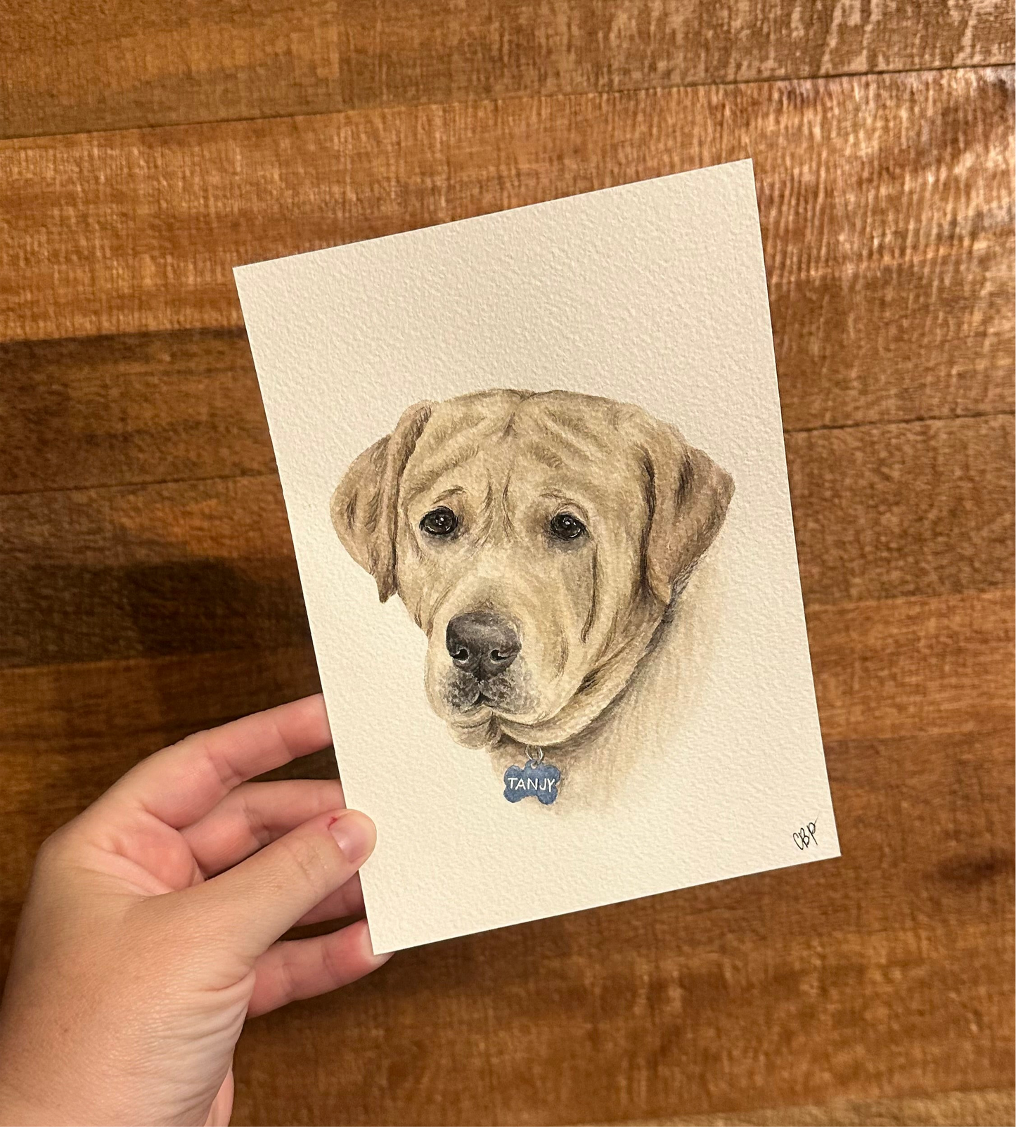 Custom Watercolor Pet Portrait