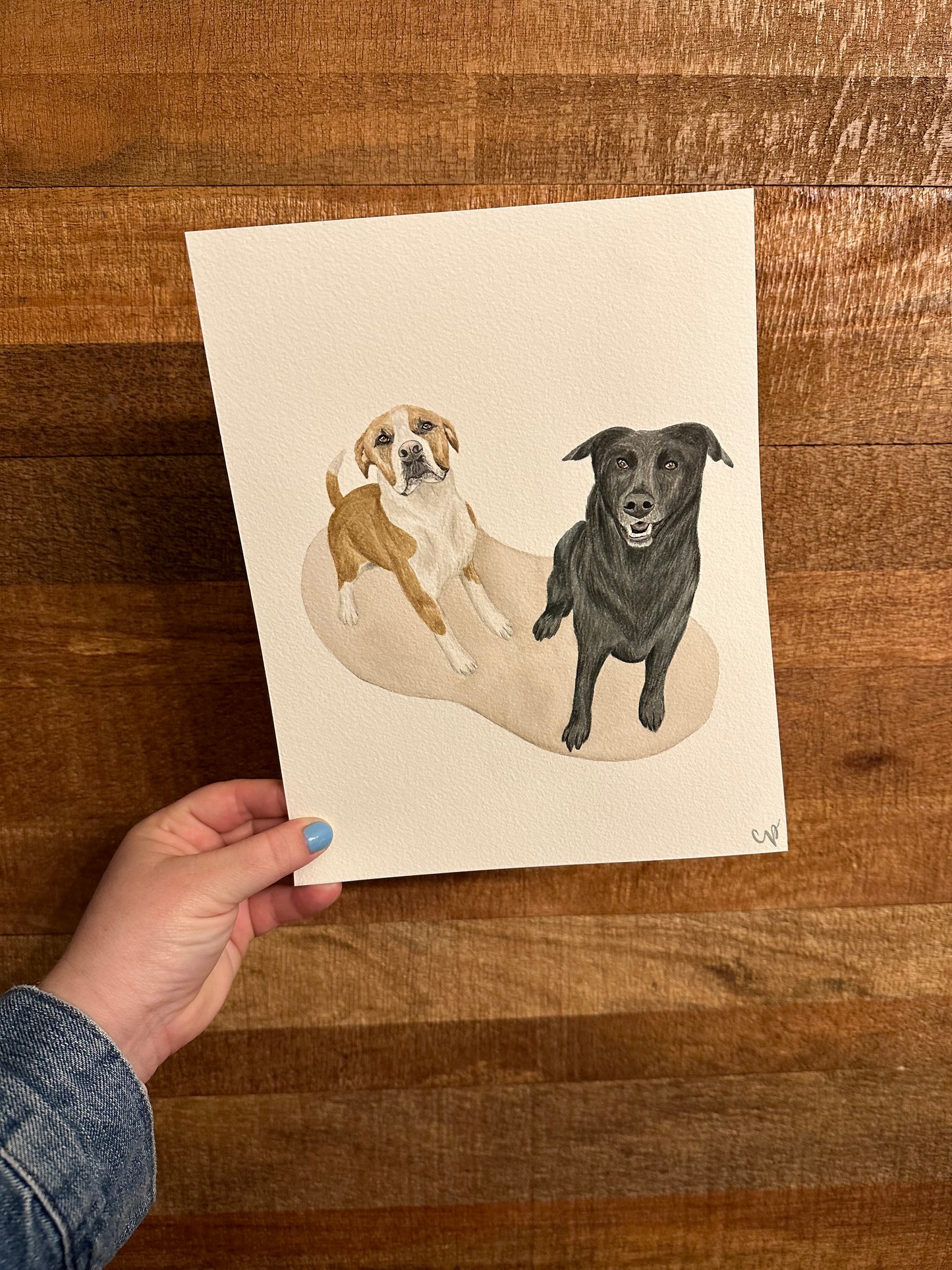 Extra Pet - For Pet Portraits